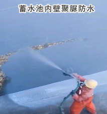 1747037550906.jpg